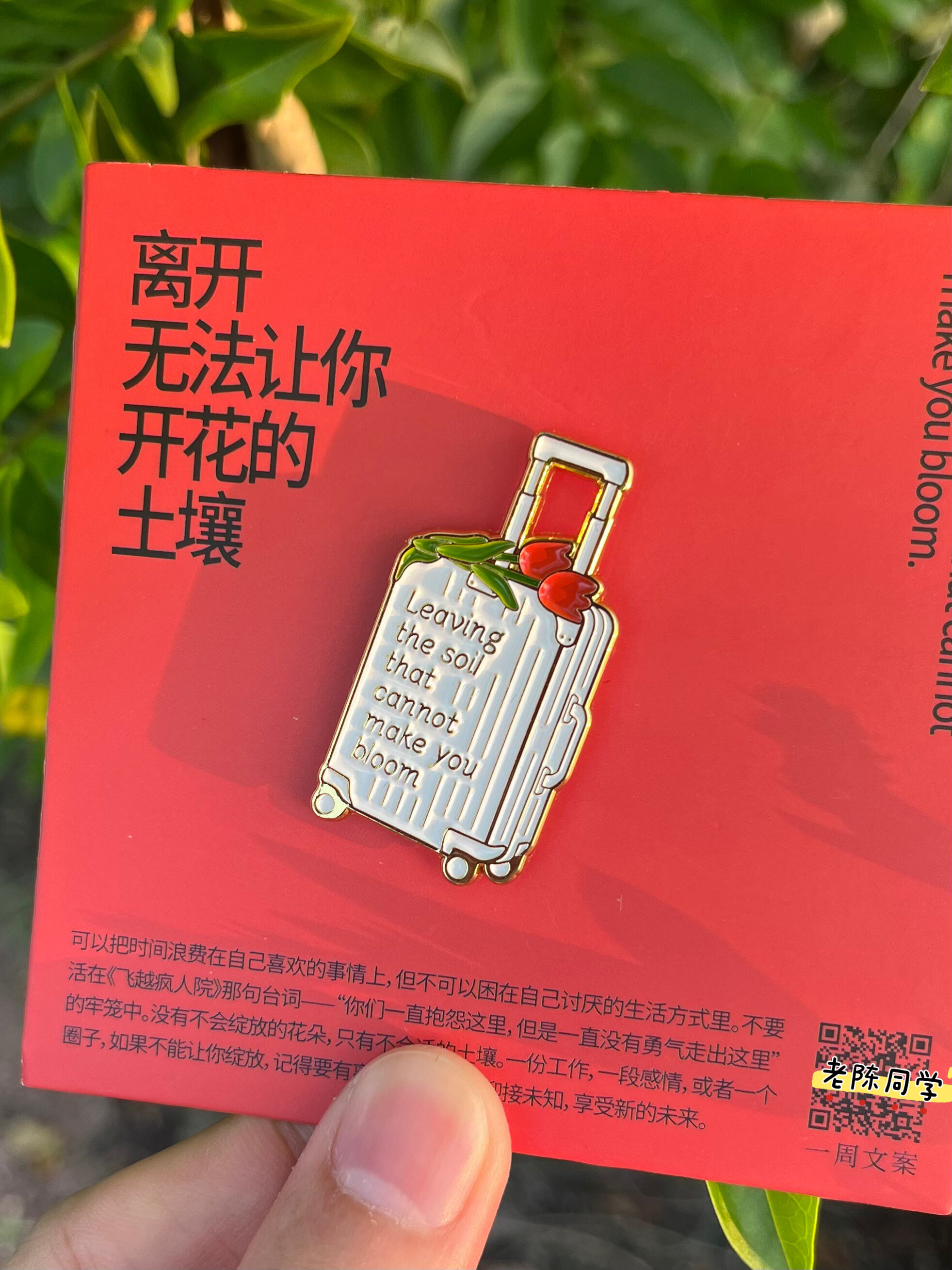 老陈同学正版文创冰箱贴图片