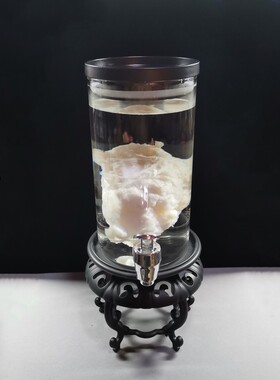 200克长白山溶洞野生石太岁 活体养生天然肉灵芝 整体泡水精品