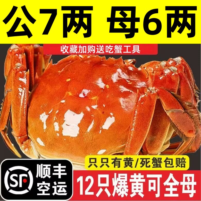 活蟹现货全母大闸蟹鲜活螃蟹公7.0两母6.0两苏州阳澄湖蟹礼盒旗舰