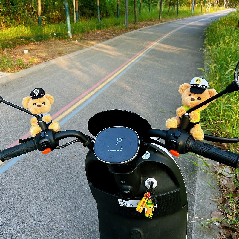 防丢款摩托装饰可爱电动车自行车