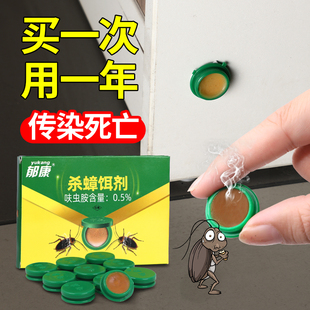 非无毒全窝旗舰蟑胶饵剂餐厅端灭专用饭店 蟑螂药家用一窝神器正品