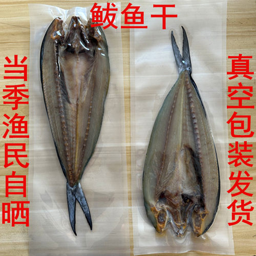 自晒咸鲅鱼干渔民自制肉厚鲜美