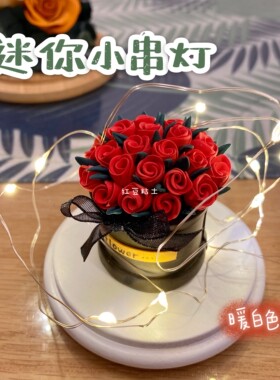 【红豆粘土】迷你小串灯小彩灯 粘土手工DIY圣诞节装饰彩灯灯串