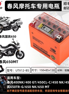 春风ST狒狒150NK250NKSR400NKGT650NK/MT国宾700CLX800MT摩托电瓶
