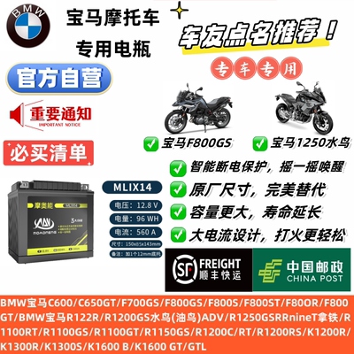摩托车电瓶12V宝马F650GS/F700/F800GS/R1200GS水鸟/油鸟ADVC650