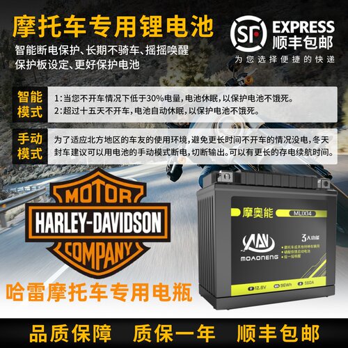 哈雷等大排量专用摩托车电瓶12V