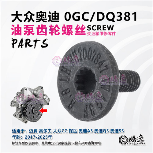 迈腾 高尔夫 探岳 大众CC 奥迪A3 Q3 0GC DQ381变速箱油泵齿螺丝