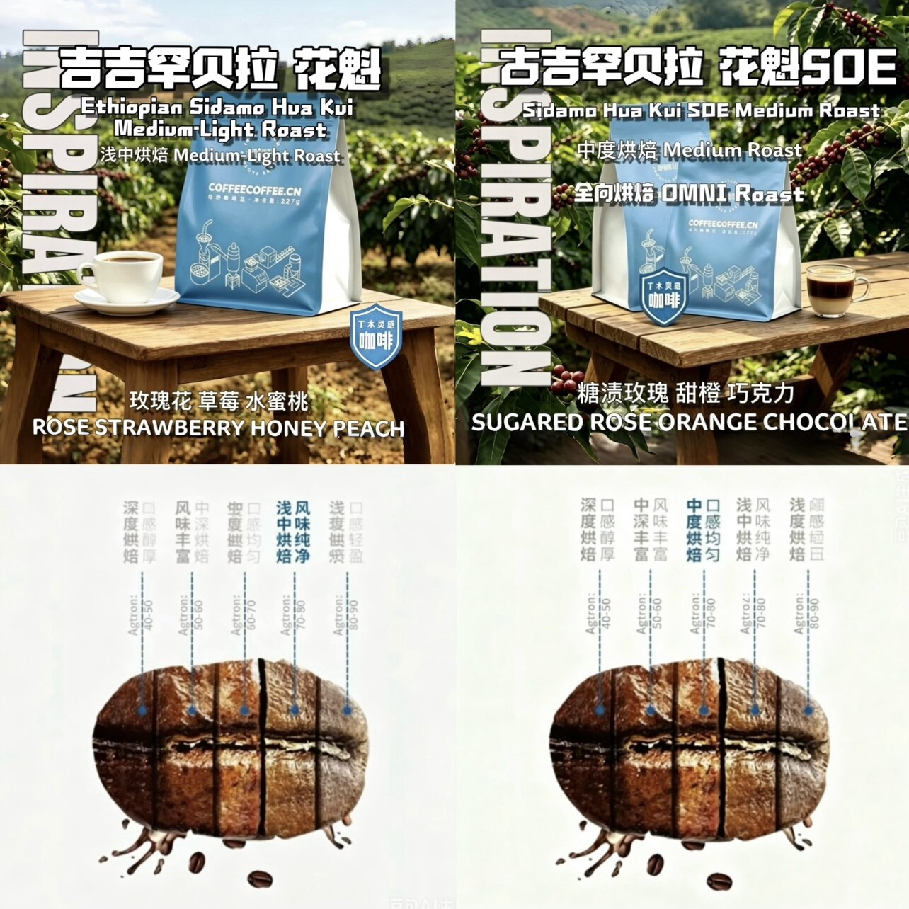 古吉罕贝拉花魁G1巧克力甜甘莓果