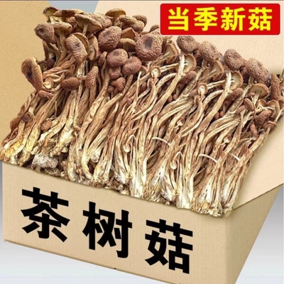 茶树菇干货特级正宗云南茶树菇无添加家用切跟新鲜正品官方旗舰店