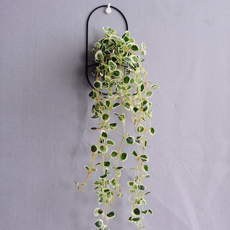 北欧ins风 室内墙面装饰挂藤仿真绢花绿植花藤蔓植物花盆壁挂花卉