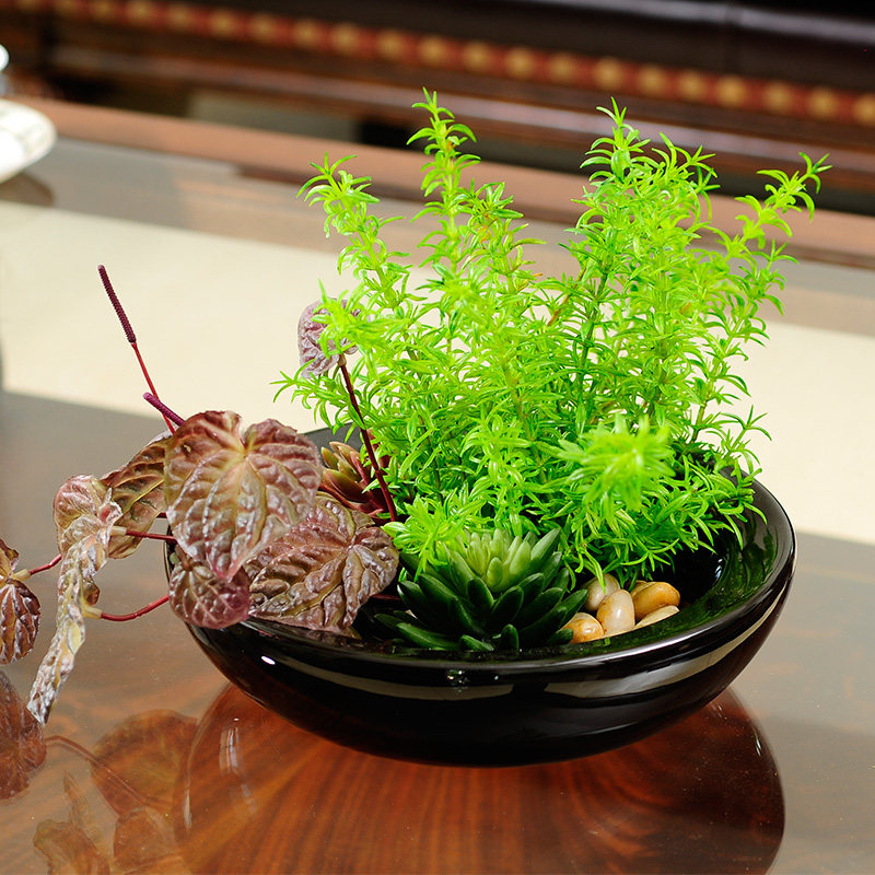 仿真绿色植物迷迭香多肉陶瓷花盆装饰花艺塑料花创意摆件摆放花卉