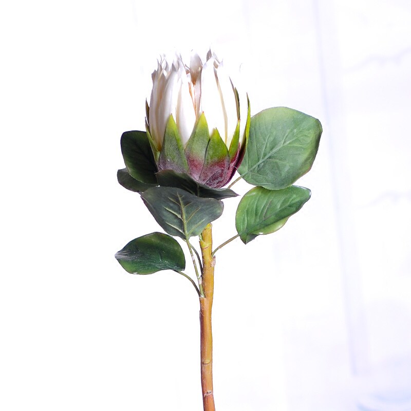 仿真绢花pu非洲帝王花室内餐桌面茶几花瓶插花摆设摆放花卉装饰品