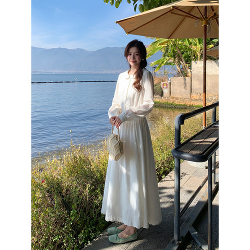 连衣裙刺绣温柔收腰长裙