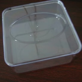 小发芽盒12*12*5透明塑料发芽盒