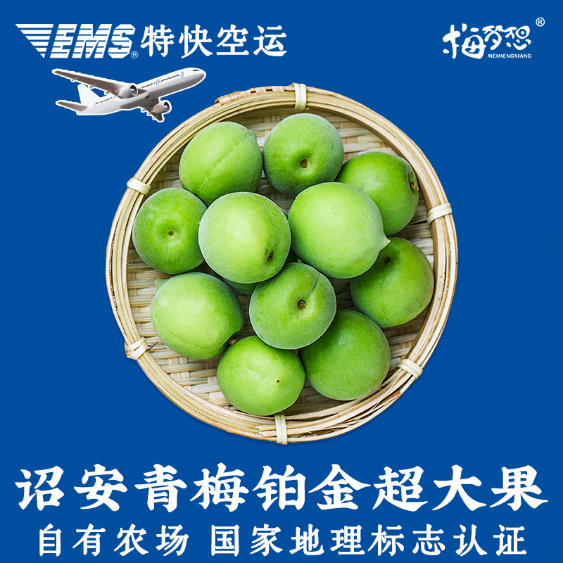 新鲜青梅鲜果泡酒专用胭脂梅黄梅现摘福建诏安级特鲜梅子高山野生