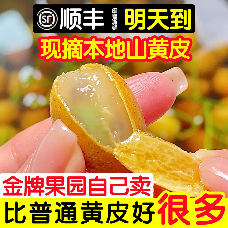 黄皮果新鲜现摘鸡心鲜黄皮果酒果酱老盐黄皮水应季孕妇水果黑金刚