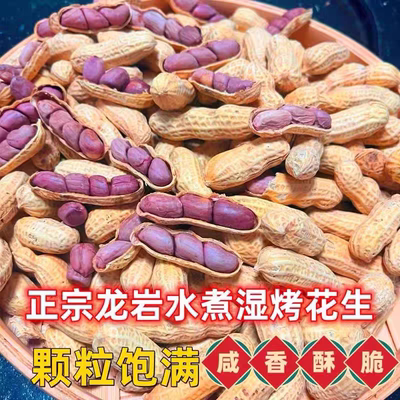 25年新货龙岩湿烤紫衣花生带壳咸香酥脆闽西特产营养红皮花生