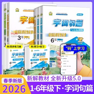2026新版 字词句篇与达标训练小学一二三四五六年级下册人教版新解教材语文同步阅读讲解课后练习重难点专项训练预习练习册解读书