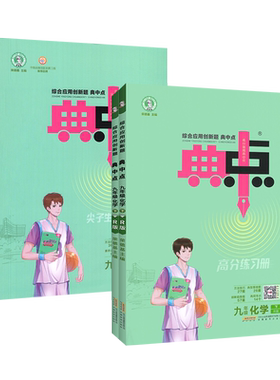 典中点九年级化学人教版
