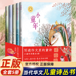 写进作文里的童诗全套5册小童年诗集美绘版当代华文儿童诗丛书名家正版非拼音版有一种颜色叫做梦雪花里的风车田野的诗行回望麦田