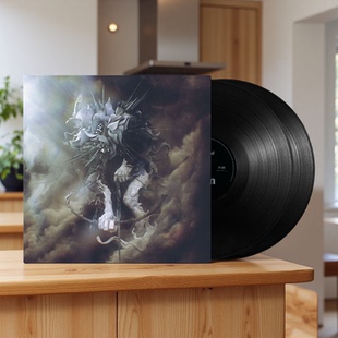 Park Linkin The Hunting 2LP黑胶唱片 现货 Party 林肯公园专辑