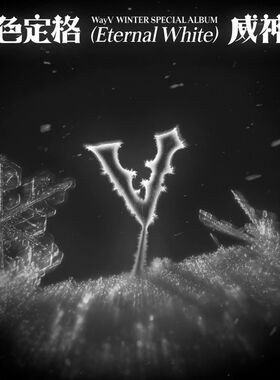 WyaV 威神V专辑 冬季特别辑 白色定格 Eternal White 小卡周边
