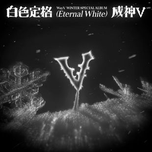 特别辑 冬季 白色定格 Eternal 小卡周边 WyaV White 威神V专辑