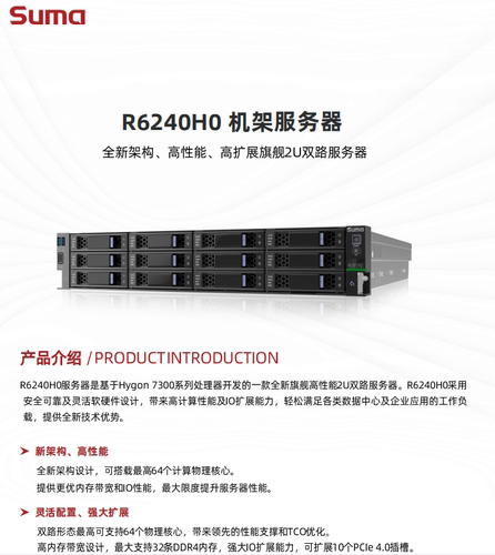 中科可控 suma R6240H0服务器  hygon 5000CPU 三年 包邮