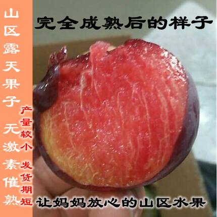 李子黑布林黄肉 红心风味玫瑰血李脆甜西峡新鲜水果三华李