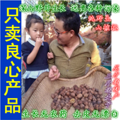 干核桃真野外生老树无漂白原味零食西峡孕妇农家非纸皮散装 湿黑桃