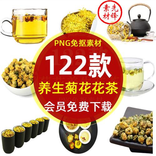 养生菊花茶干菊花茶海报插图PNG背景免抠图片 菊花泡茶清热PS素材