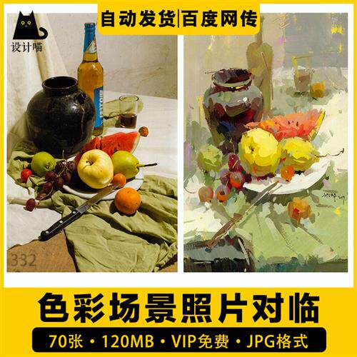 美术高考色彩静物对画临摹照片电子版水粉色稿完整范本对临素材