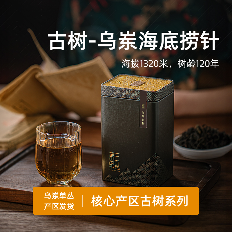 乌岽单丛百年单株海底捞针