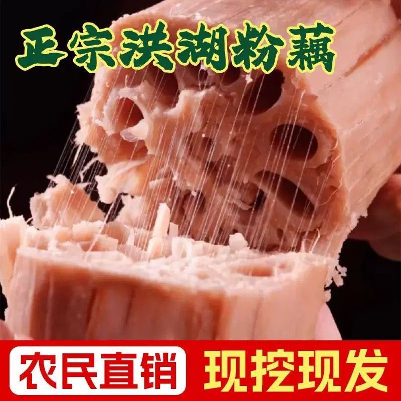 湖北洪湖现挖九孔粉藕煲汤