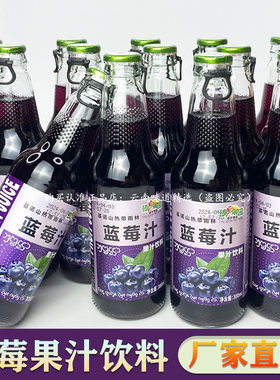 蓝莓果汁饮料芒果味夏天爽口过年春节小吃外卖餐饮品整箱特价批发