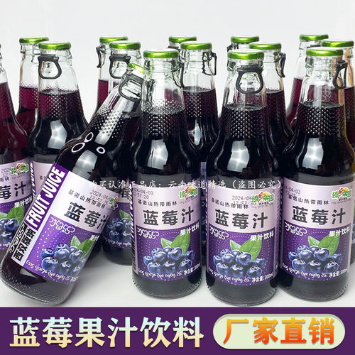 蓝莓果汁饮料芒果味夏天爽口过年春节小吃外卖餐饮品整箱特价批发