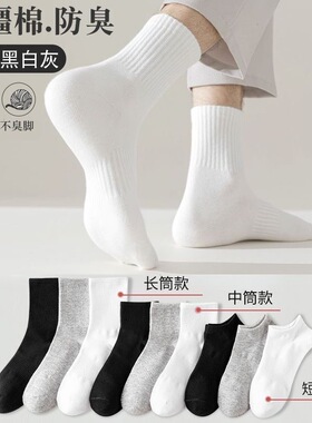 【新疆棉】四季袜男女款短中长筒纯色棉袜吸汗透气防臭白色棉袜