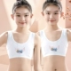 Angel White Bras/2 Модели хлопка хлопка (большой размер, рекомендуется быть небольшим размером)