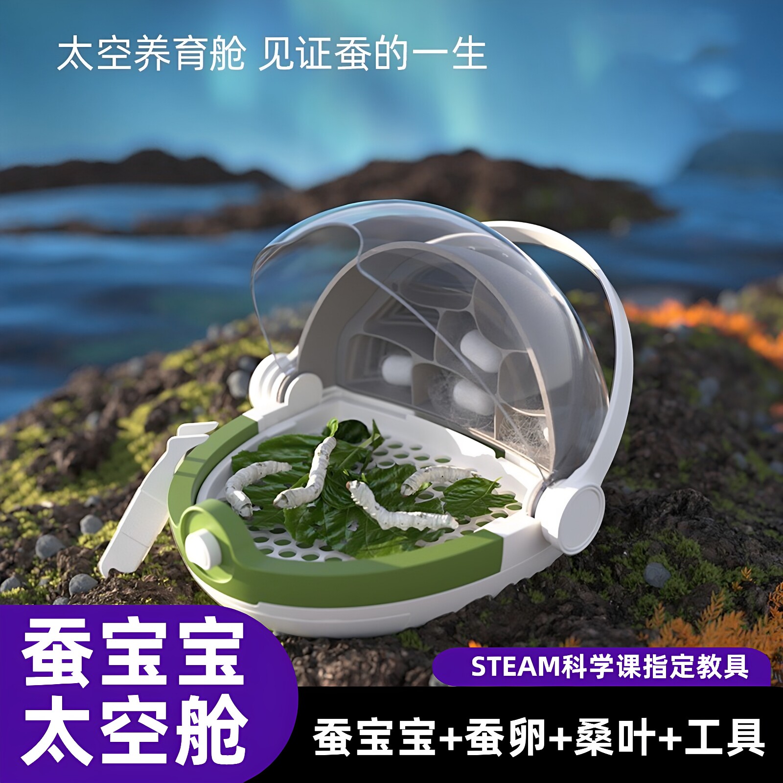 蚕宝宝活体学生养蚕套装别墅太空舱养育春蚕卵活物宠物工具桑叶