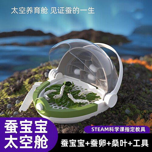 学生太空舱养蚕蚕宝宝