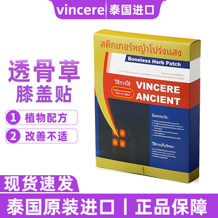 进口 泰国VINCERE透骨草膝盖贴护膝盖专用草本发热舒缓关节贴原装