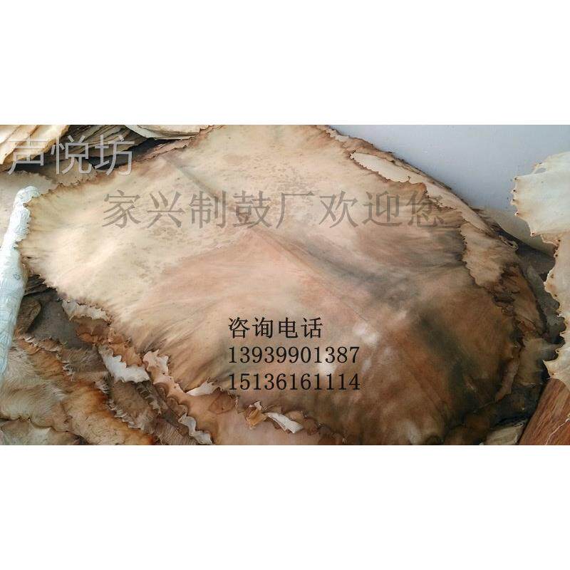 整张去毛羊皮本色羊皮鼓皮优质非洲鼓皮整张非洲鼓皮山羊皮