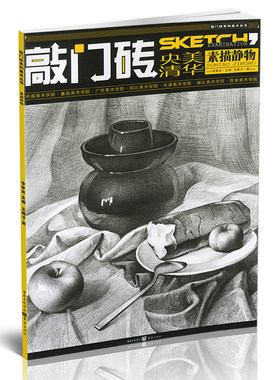 正版素描书央美清华敲门砖素描静物组合李家友美术王建才自学入门到精通基础全教程教材全素材结构临摹画册美术书