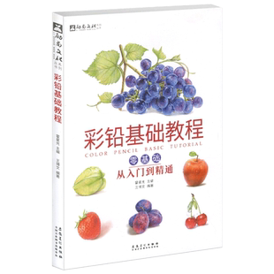 彩铅基础教程零基础从入门到精通王博文植物水果蔬菜美食动物彩铅绘画教程书彩铅手绘临摹画册画本儿童彩铅入门自学零基础课程书籍