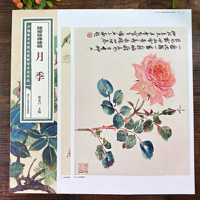 月季 中国美术学院名家教学示范作品大8开高清写生创作 中国画初学