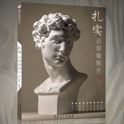扎实石膏像照片2019青美文化素描石膏五官人像头像半身像临摹范本照片对画写生常规中西方原作雕塑校联考央国美术绘画册教材程书籍