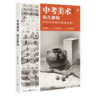 中考美术组合静物 2022敲门砖李家友素描基础组合素描静物步骤解析完整稿临摹范本美术教材教程基础入门画册书籍