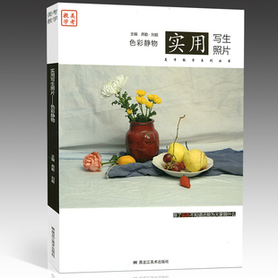 (量大优惠)2015正版美考教学 实用写生照片 色彩静物 静物组合训练 色调 黑白照片 联考考题 美术艺考书籍9787531865773
