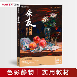 冷暖色调 现货 单体练习 正版 变调 美术绘画书 基础知识 艺考联考资料 朱友讲色彩 正能文化 强化 临摹范本 范例欣赏