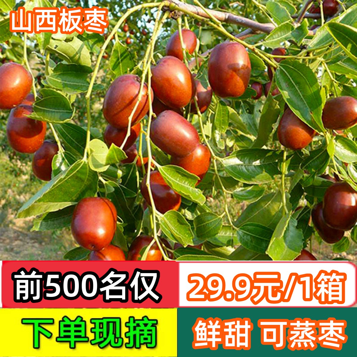 稷山板枣山西特产新鲜脆甜枣子